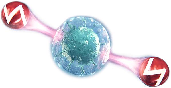 Механизм действия